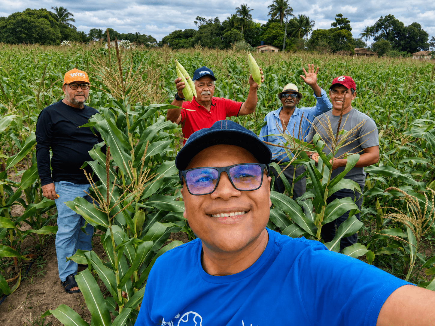 Equipe e produtores da CooBrasil reunidos em uma plantação de milho