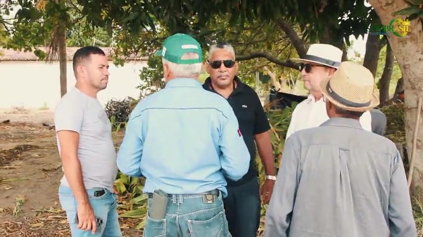 Equipe técnica e produtores conversando na lavoura de milho